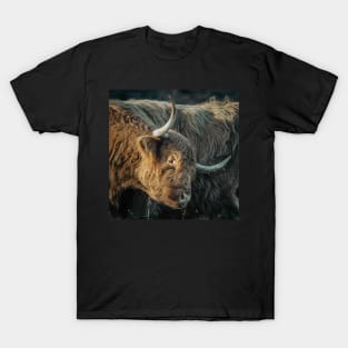 'The Itch', Perthshire, Highland Scotland T-Shirt